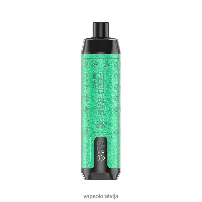 VapSolo Disposable - citronu piparmētra VapSolo SHISHA vienreizējās lietošanas vape X84047